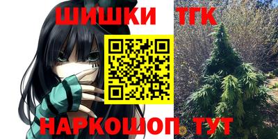 хмурый Шелехов