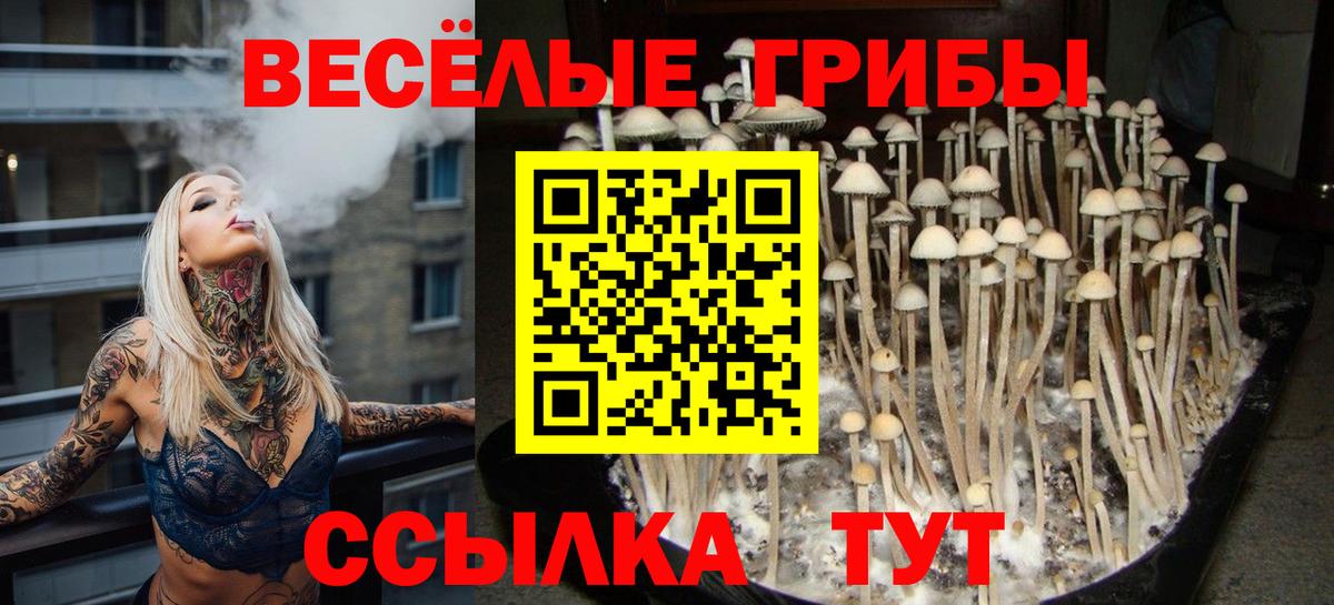 Псилоцибиновые грибы мухоморы  Вход с VPN  Лесной 
