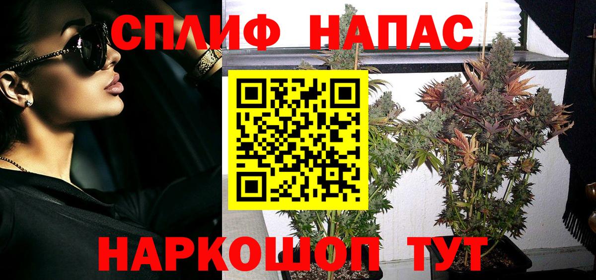 Лесной  Каннабис конопля  Конопля SATIVA & INDICA  Марихуана SATIVA & INDICA  Вход с VPN  Канабис AK-47 